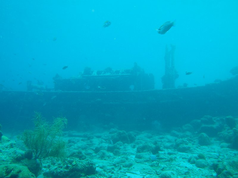2015-03-27 11-16-32.JPG